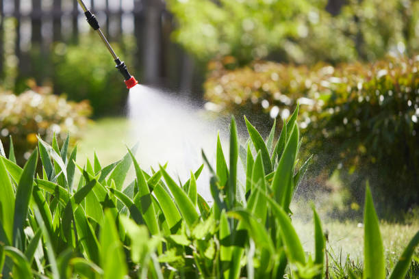 Tamper-Resistant Bait Stations for Rodents in Vista